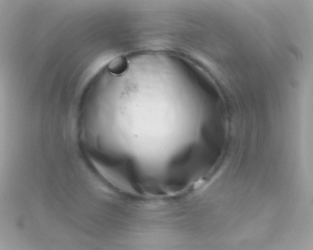 X0000115731410200911251928