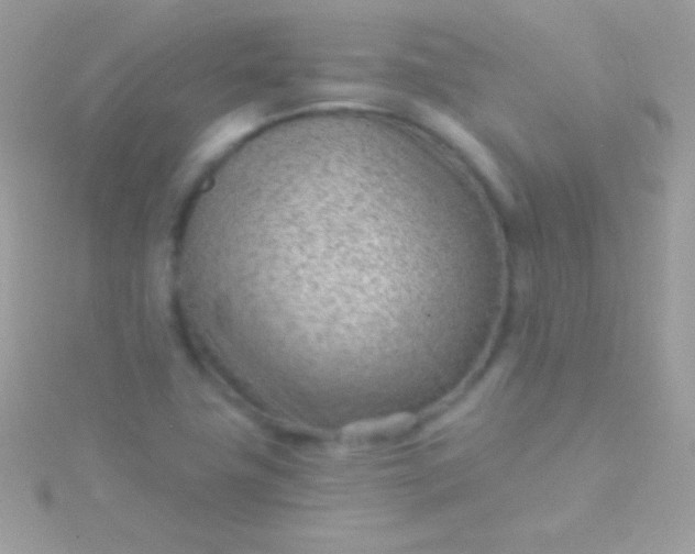 X0000115731411200911251928