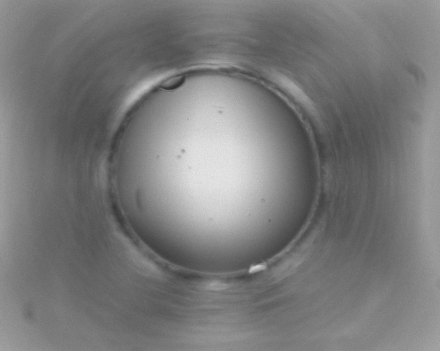 X0000115731412200911251928