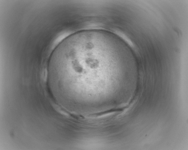 X0000115731413200911251928