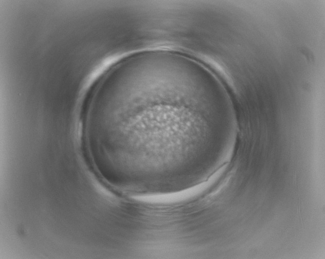 X0000115731414200911251928