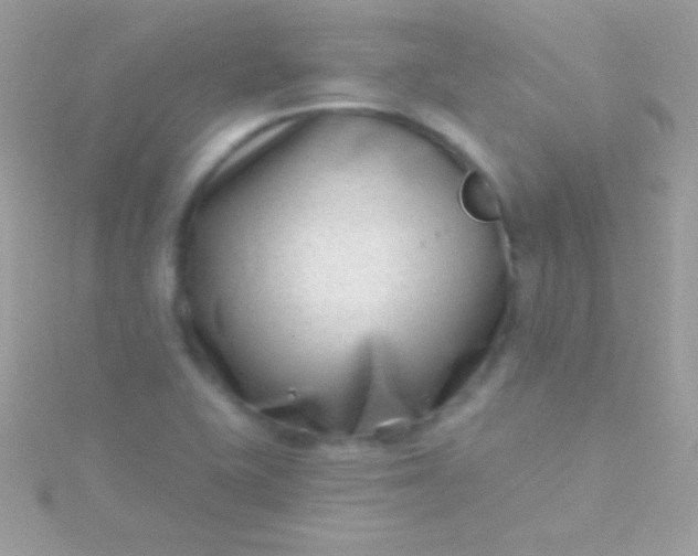 X0000115731415200911251928