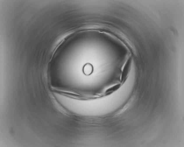 X0000115731417200911251928