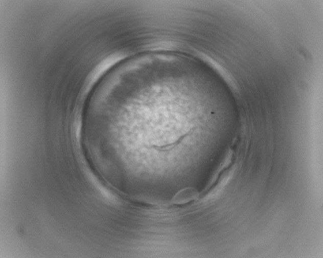 X0000115731418200911251928