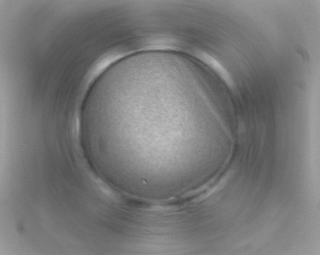 X0000115731419200911251928