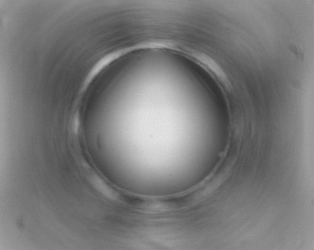 X0000115731420200911251928