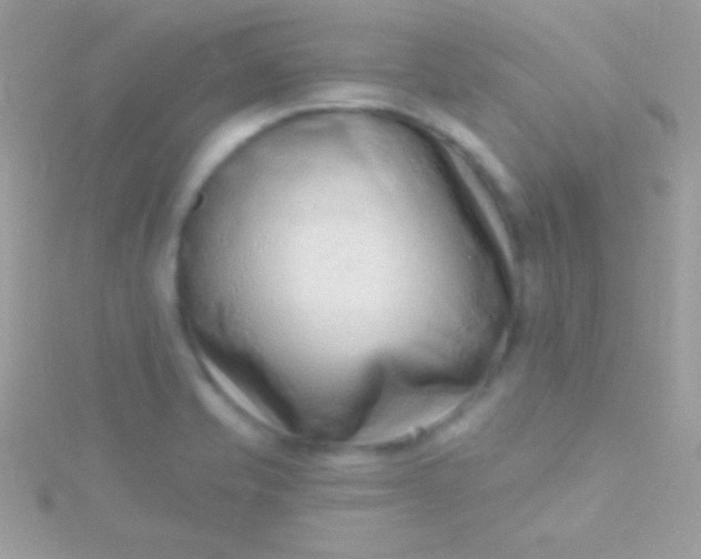 X0000115731421200911251928