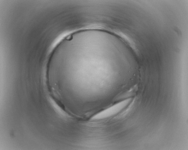 X0000115731422200911251928