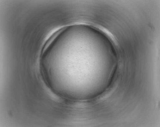 X0000115731423200911251929