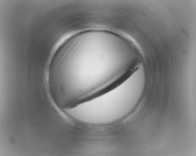 X0000115731424200911251929