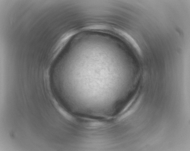 X0000115731425200911251929