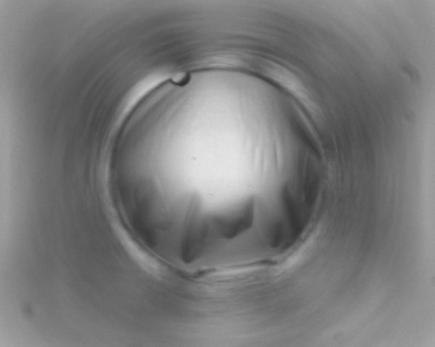 X0000115731426200911251929