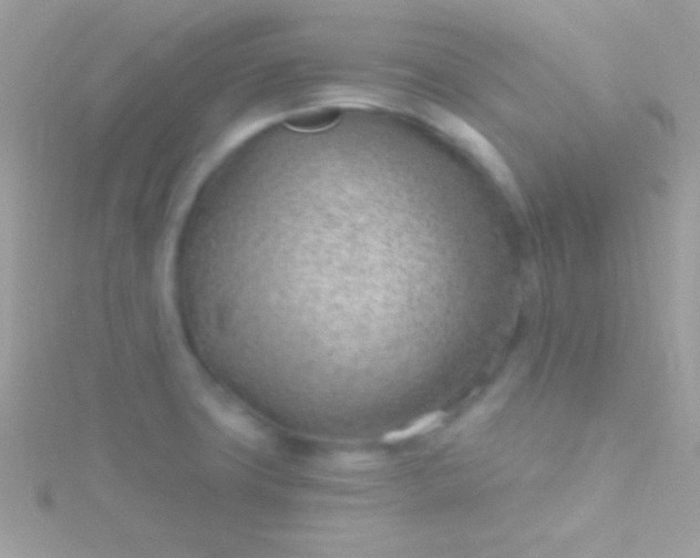 X0000115731427200911251929