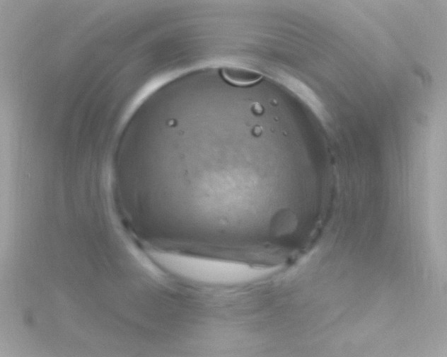 X0000115731428200911251929