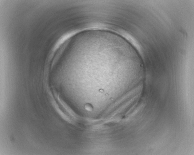 X0000115731429200911251929