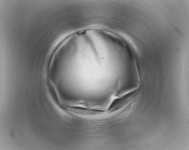 X0000115731430200911251929