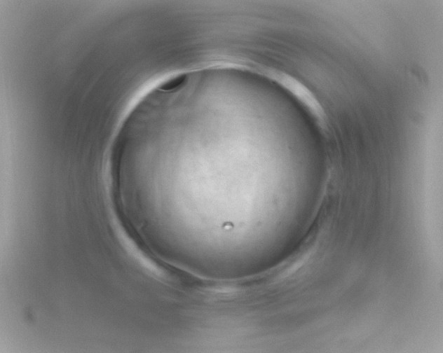 X0000115731431200911251929