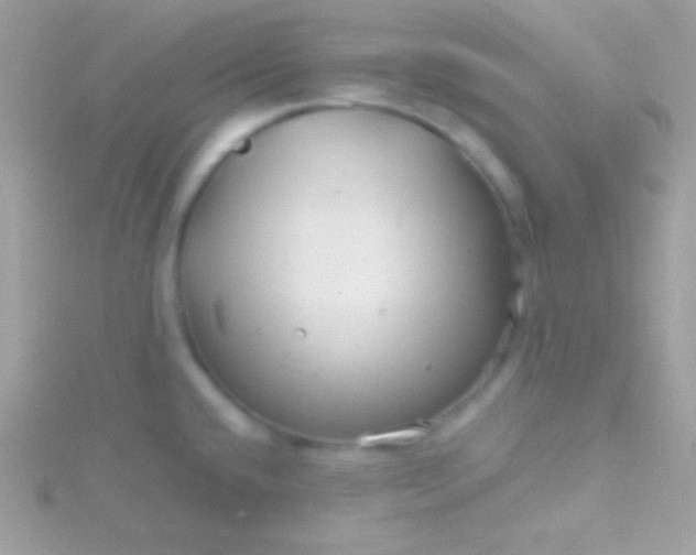 X0000115731432200911251929