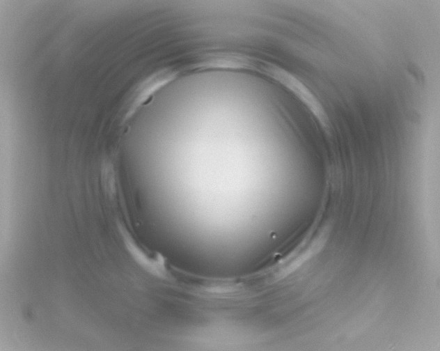 X0000115731433200911251929