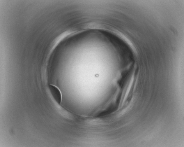 X0000115731434200911251929