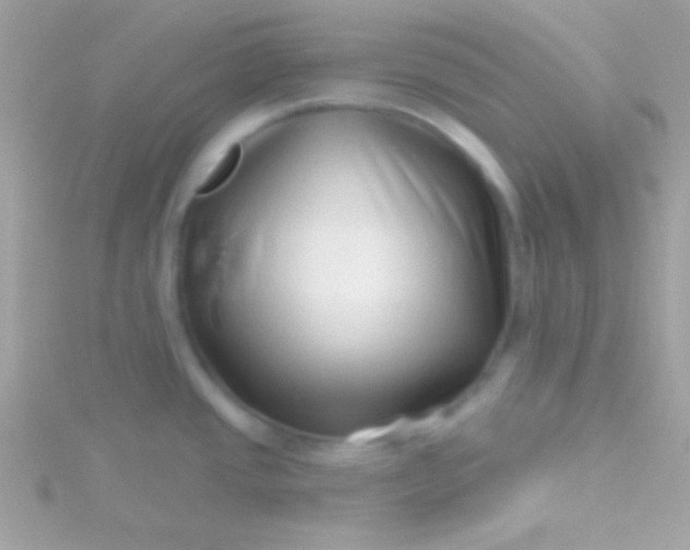 X0000115731437200911251929