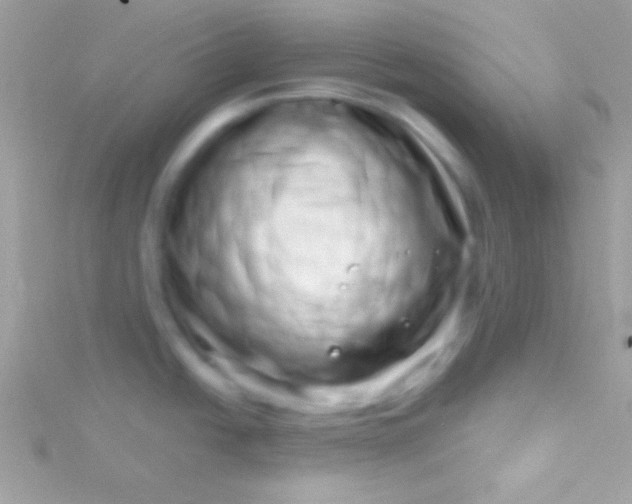 X0000115731438200911251929