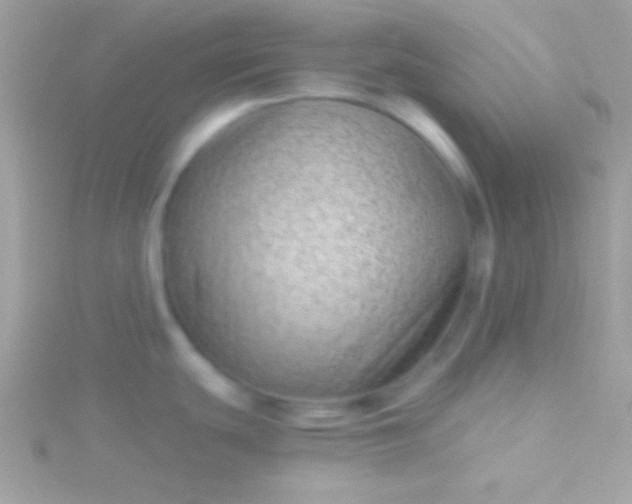 X0000115731439200911251929