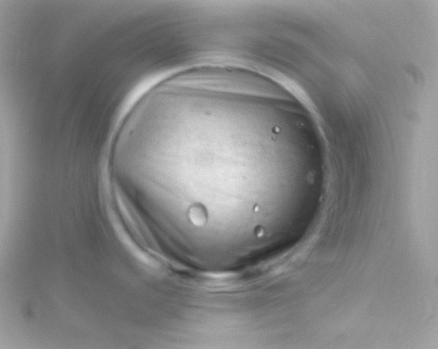 X0000115731440200911251929