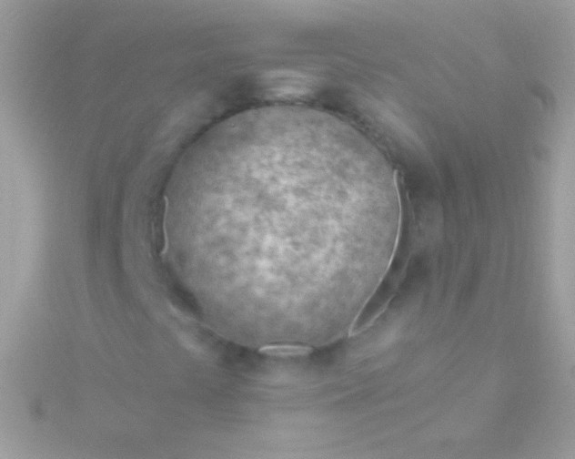 X0000115731441200911251928