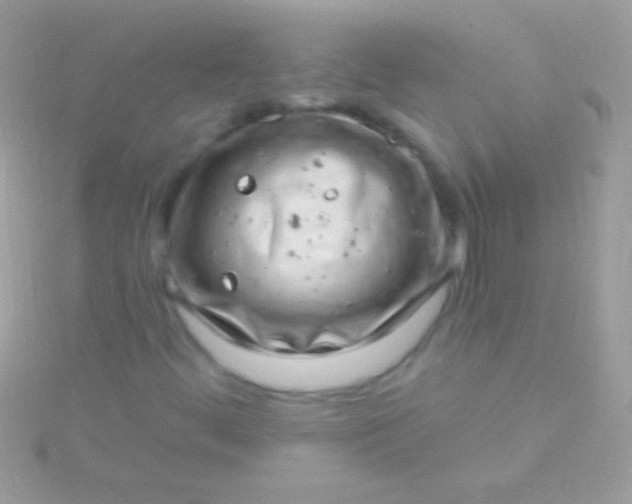 X0000115731444200911251928