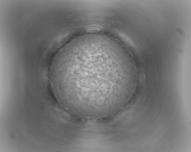 X0000115731445200911251928