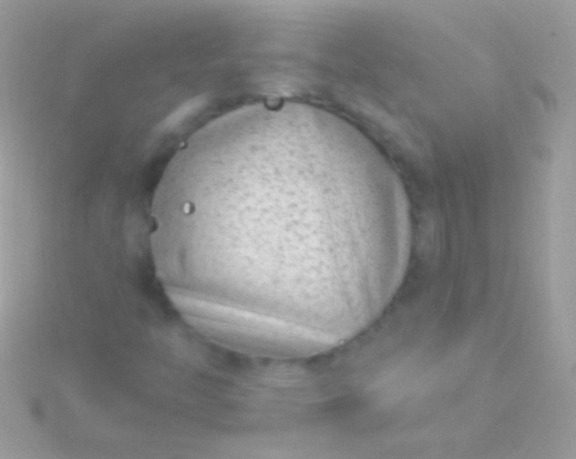 X0000115731446200911251928