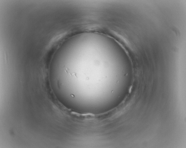 X0000115731447200911251928