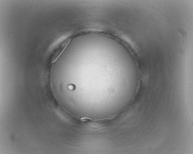 X0000115731448200911251928