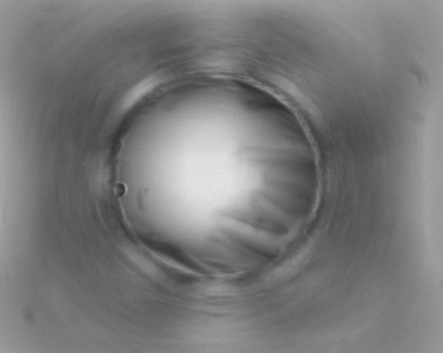 X0000115731450200911251928