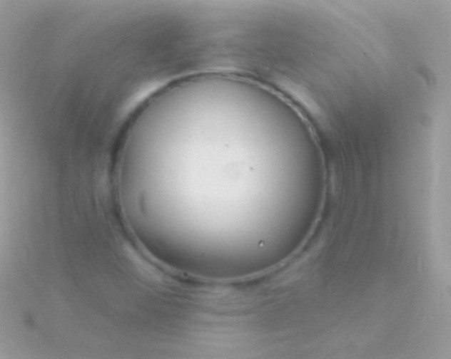 X0000115731452200911251928