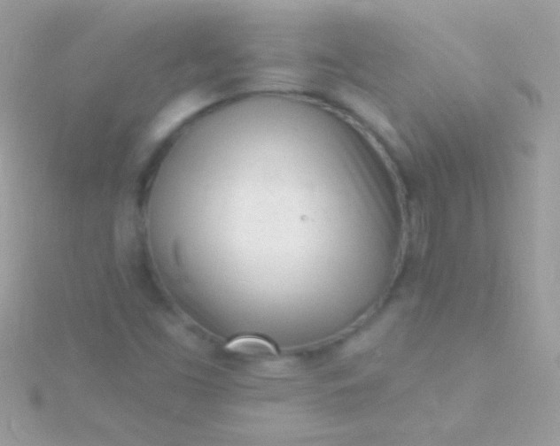 X0000115731453200911251928