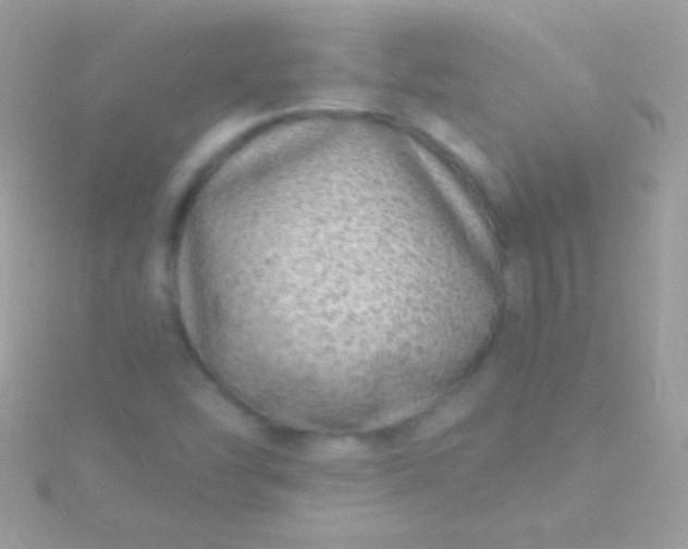 X0000115731454200911251928