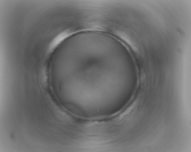 X0000115731455200911251928