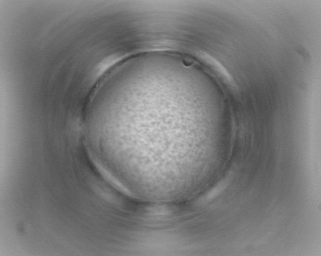 X0000115731457200911251928