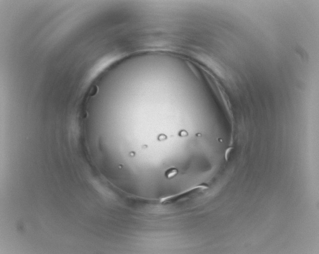 X0000115731458200911251928