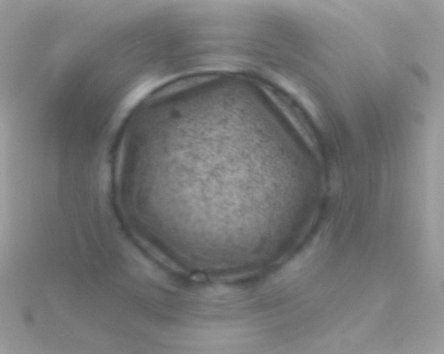 X0000115731459200911251928