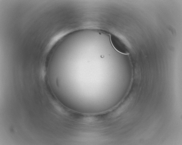 X0000115731461200911251928