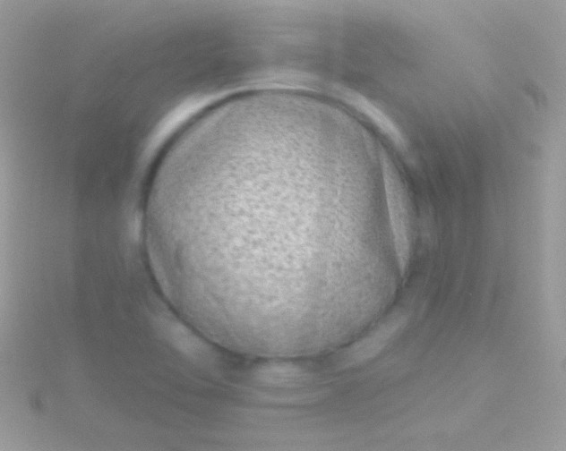 X0000115731462200911251928