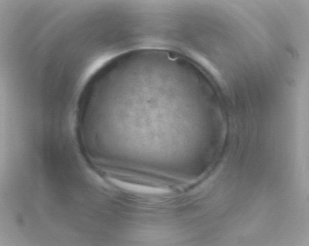 X0000115731463200911251928