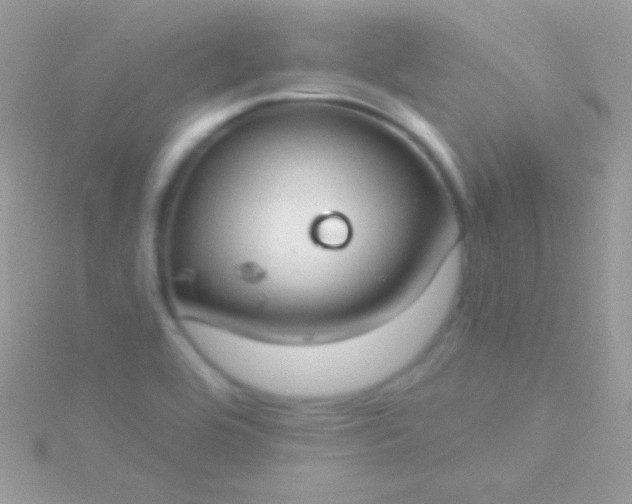 X0000115731464200911251928