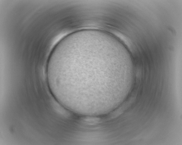 X0000115731466200911251928