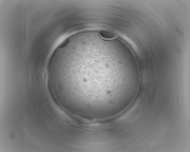 X0000115731467200911251928