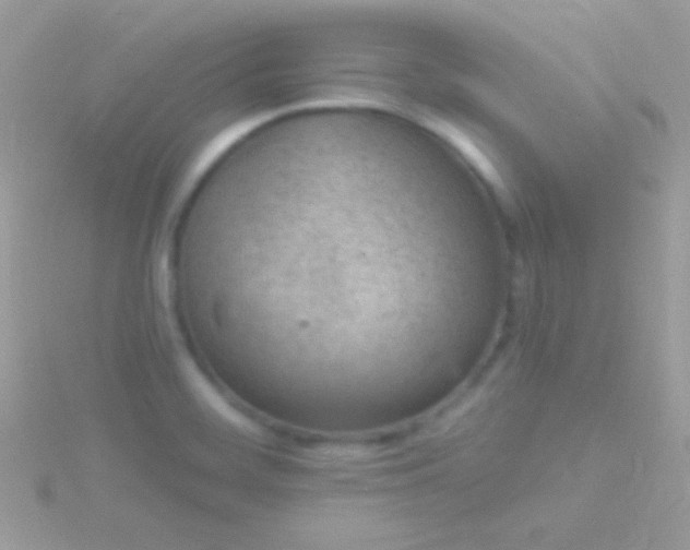 X0000115731468200911251928