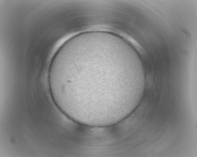 X0000115731470200911251928